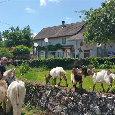 Bed and Breakfast Basse-Cour De Montin Au 256 Chemin De La Rocaille A 38510 Vezeronce Curtin Morestel Exterior foto