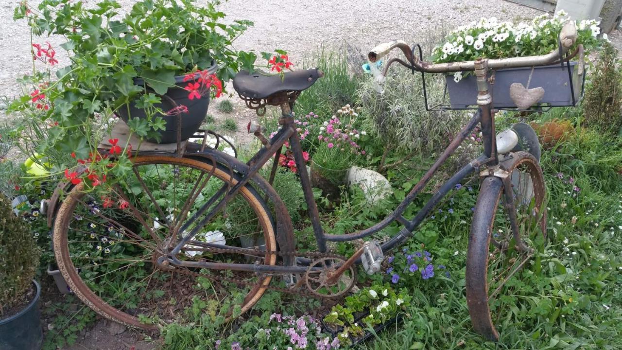 Bed and Breakfast Basse-Cour De Montin Au 256 Chemin De La Rocaille A 38510 Vezeronce Curtin Morestel Exterior foto